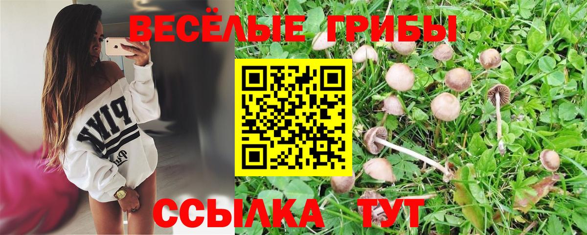 Псилоцибиновые грибы MAGIC MUSHROOMS  Псилоцибиновые грибы GOLDEN TEACHER  Вход с VPN  Лесной 